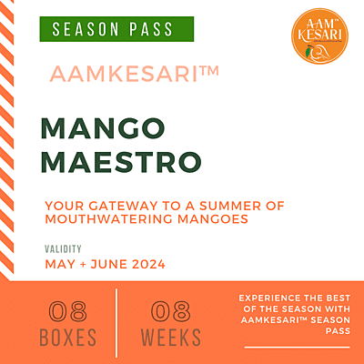 Mango Maestro Pass - 08 Box