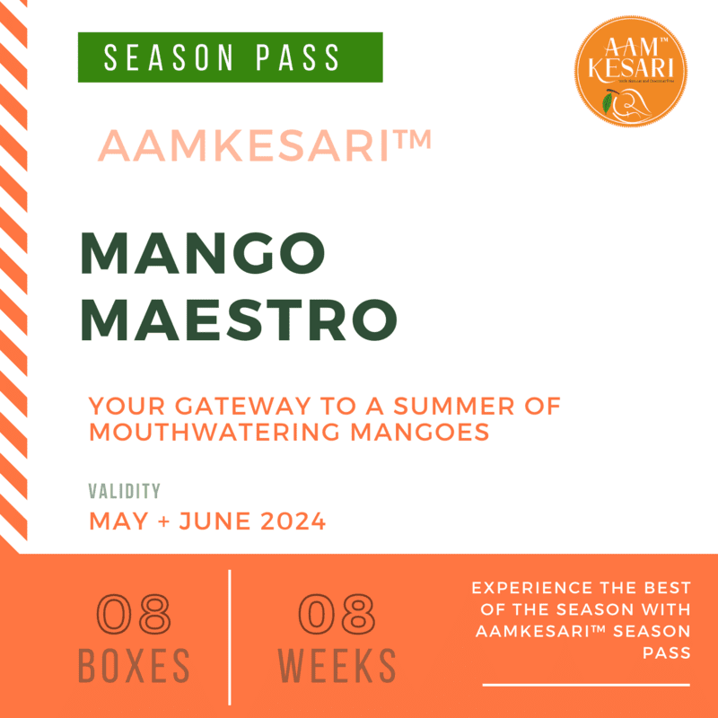Mango Maestro Pass - 08 Box Mango Maestro Pass - 08 Box
