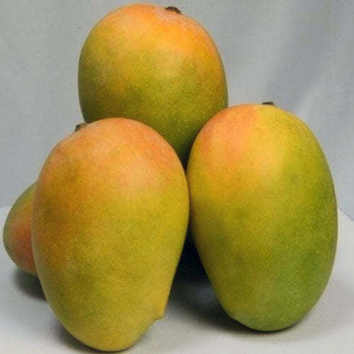 Gir Kesar - Class One Mangoes
