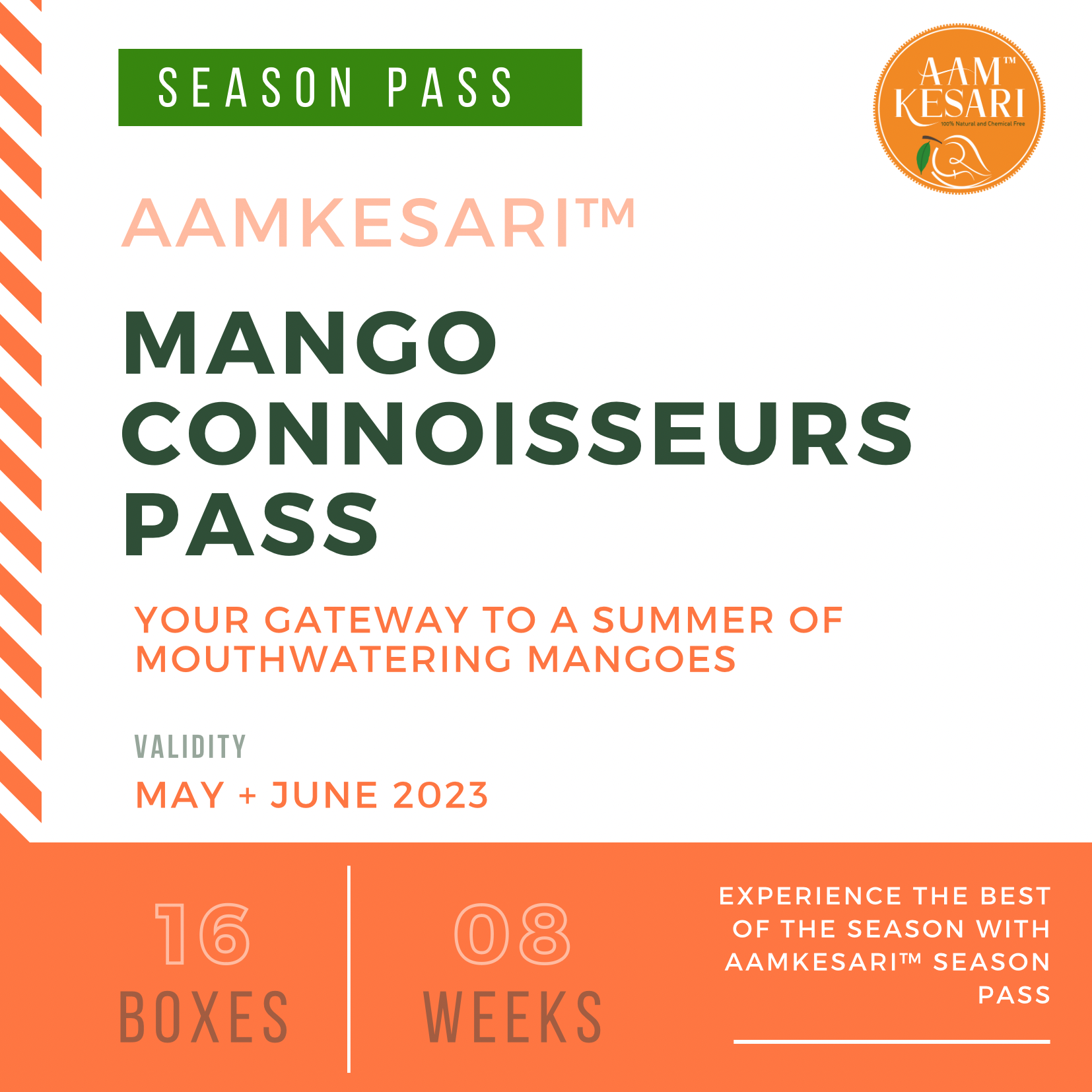 Mango Connoisseur Pass - 16 Box