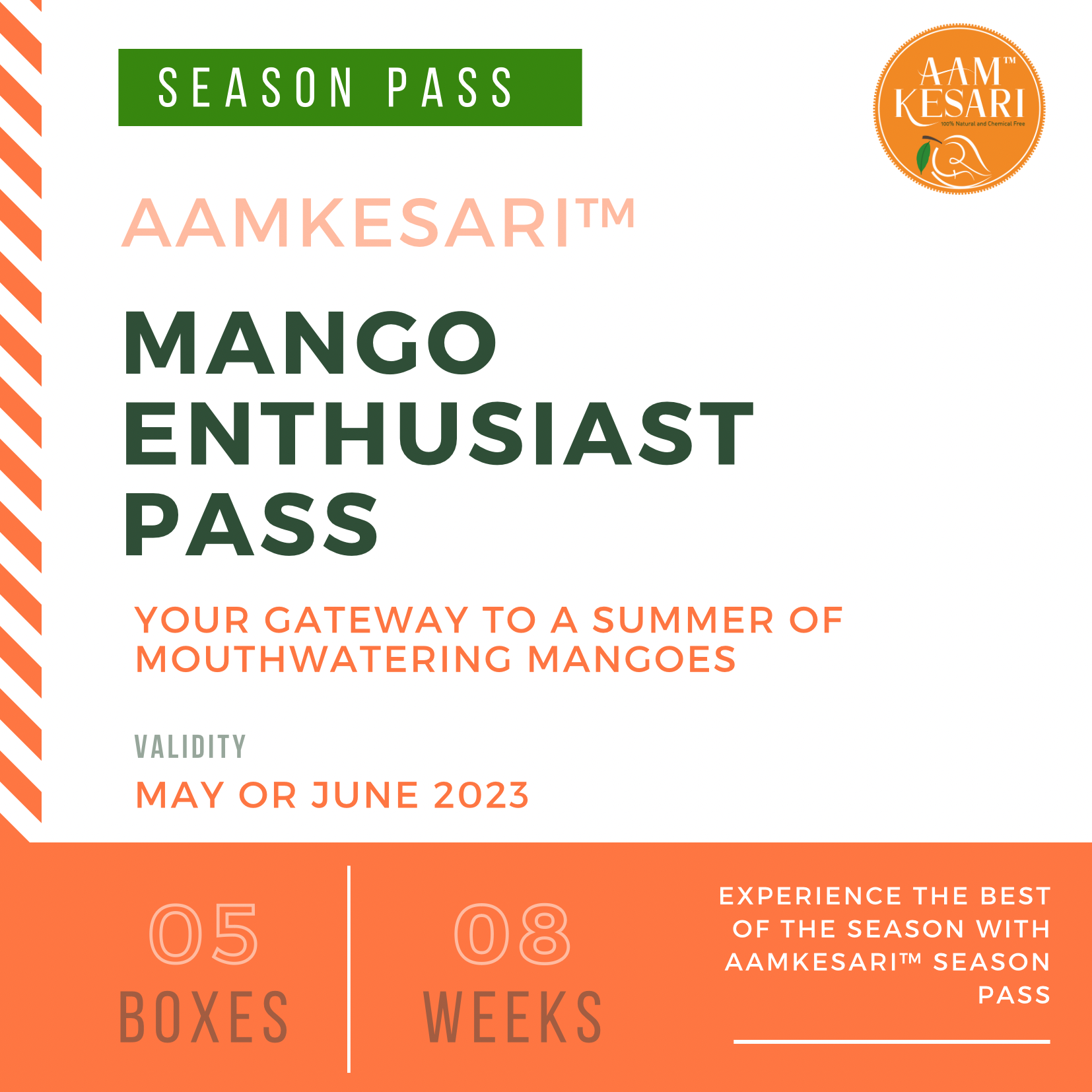 Mango Enthusiast Pass - 05 Box