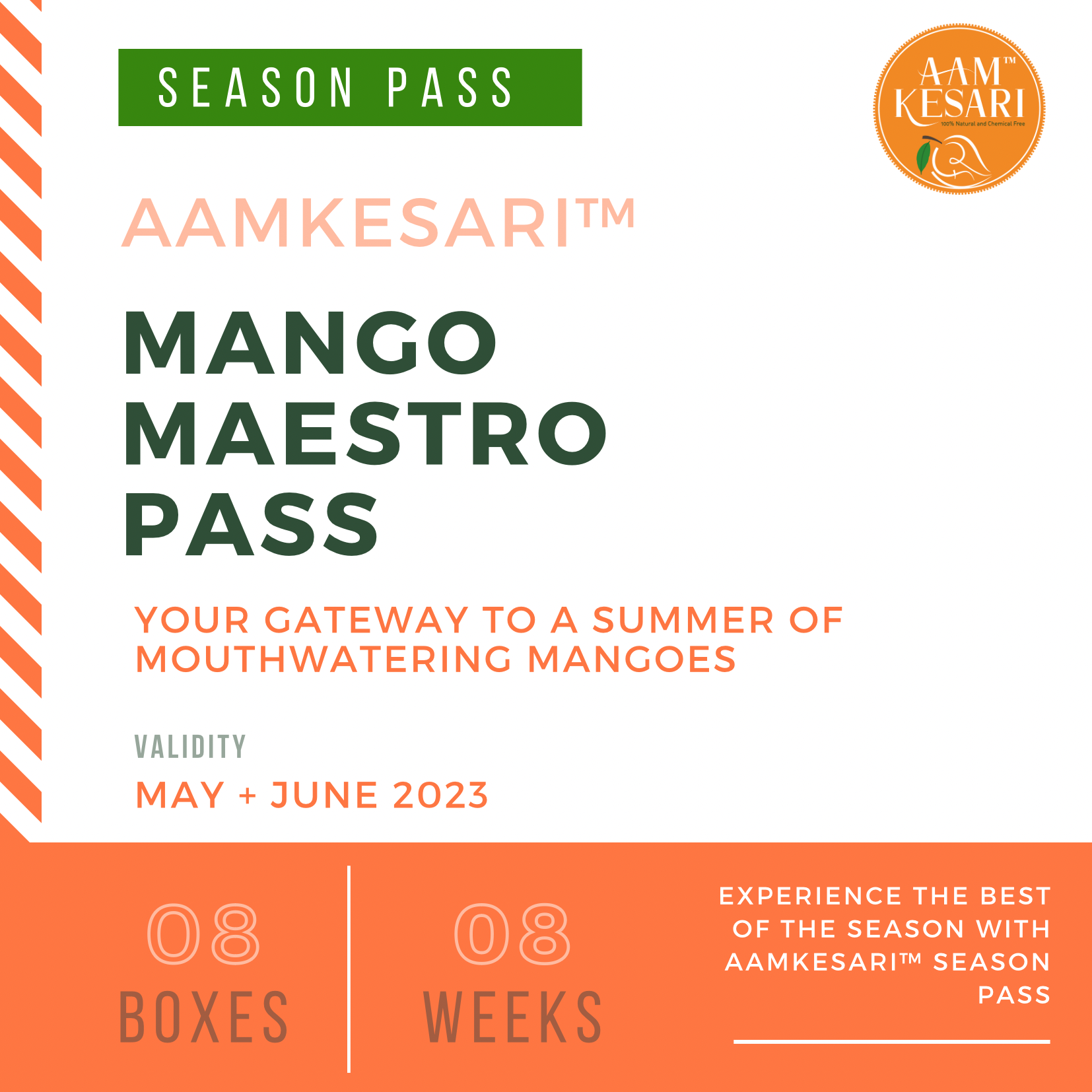 Mango Maestro Pass - 08 Box